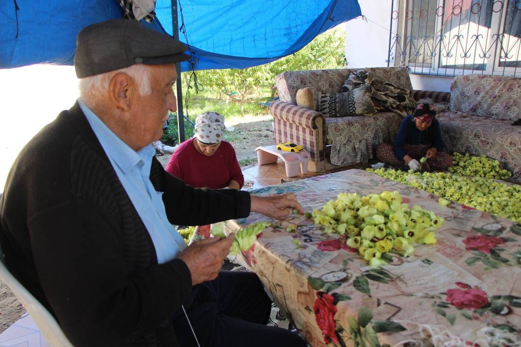 Amasya üretiyor, Konya yiyor 5